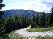 CIMG6609.JPG
