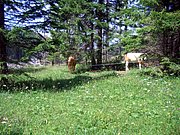 CIMG6618.JPG