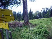 CIMG6621.JPG