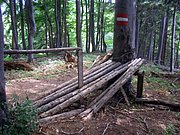 CIMG6625.JPG