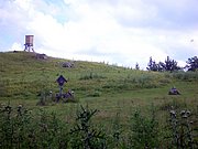 CIMG6627.JPG