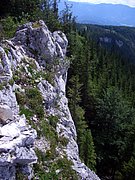 CIMG6634.JPG
