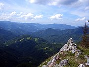 CIMG6635.JPG