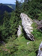 CIMG6637.JPG