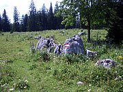 CIMG6644.JPG
