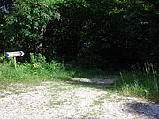 CIMG6654.JPG