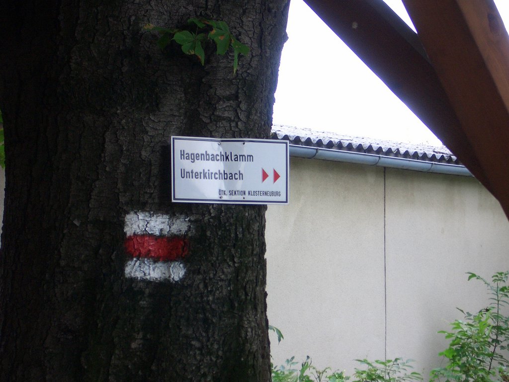 CIMG1440.JPG