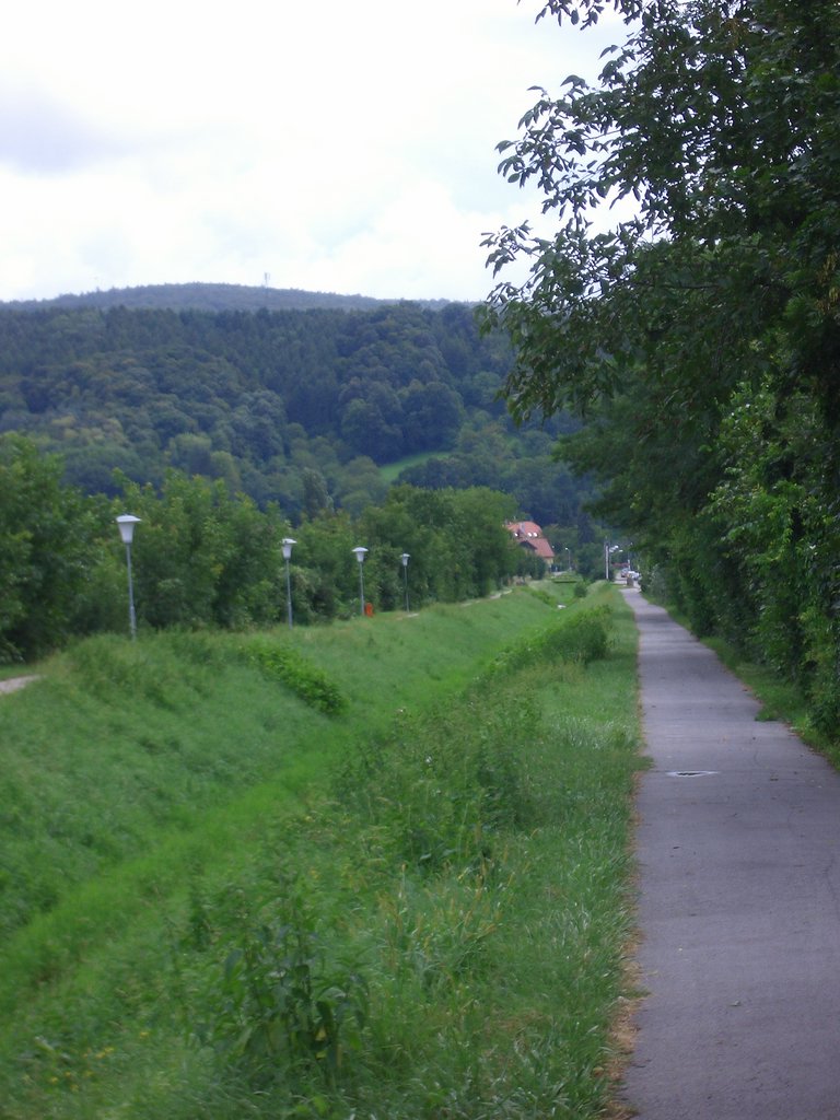 CIMG1441.JPG