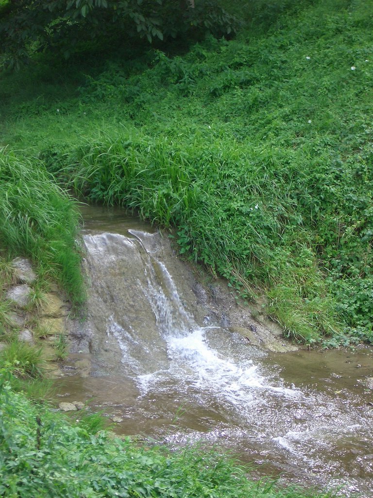CIMG1442.JPG