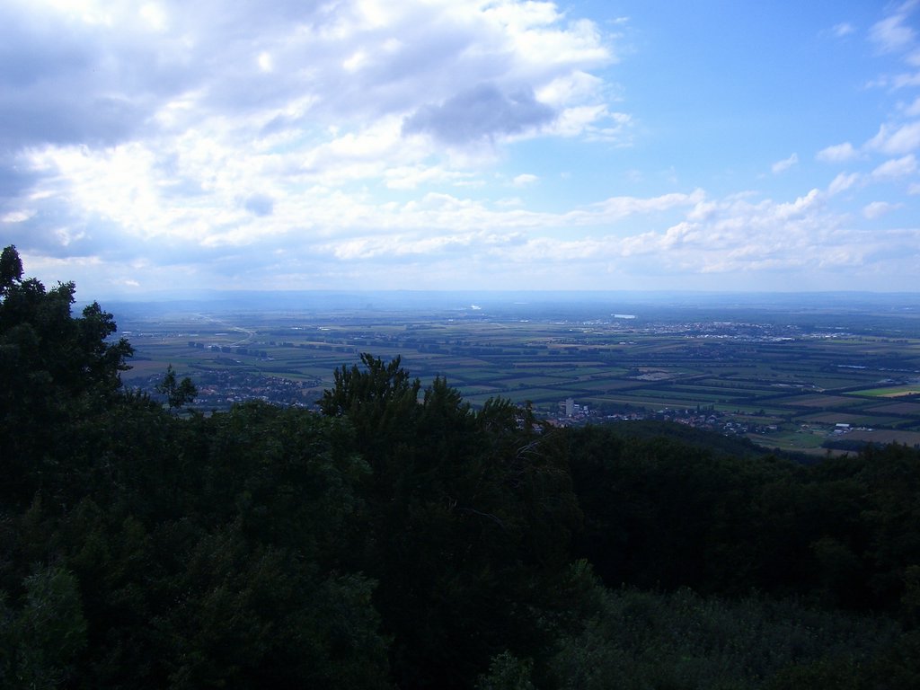 CIMG1470.JPG