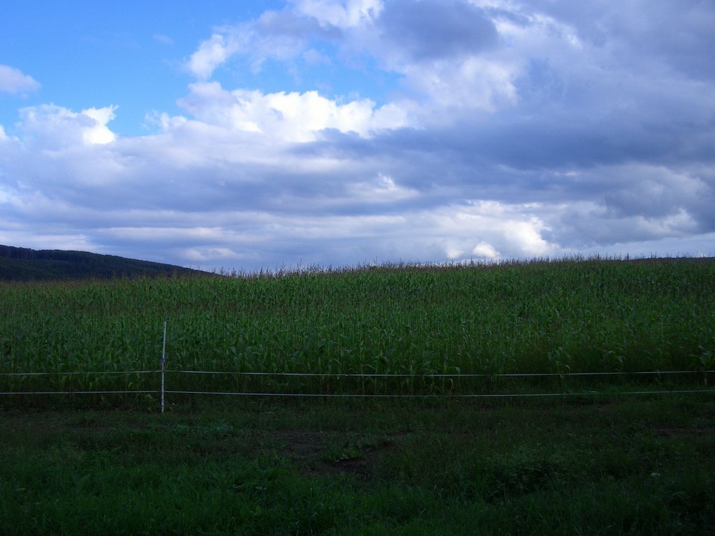 CIMG1484.JPG