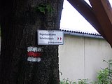 CIMG1440.JPG