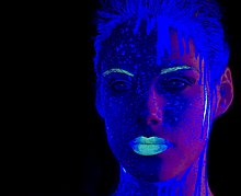 _IMG7013_mod.jpg