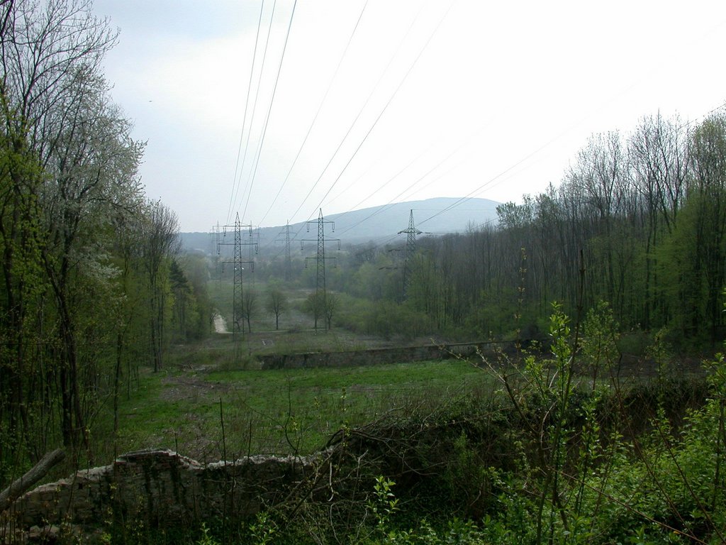 DSCN5035.JPG