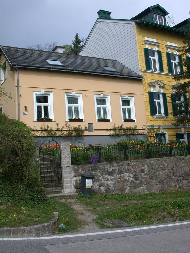 DSCN5036.JPG