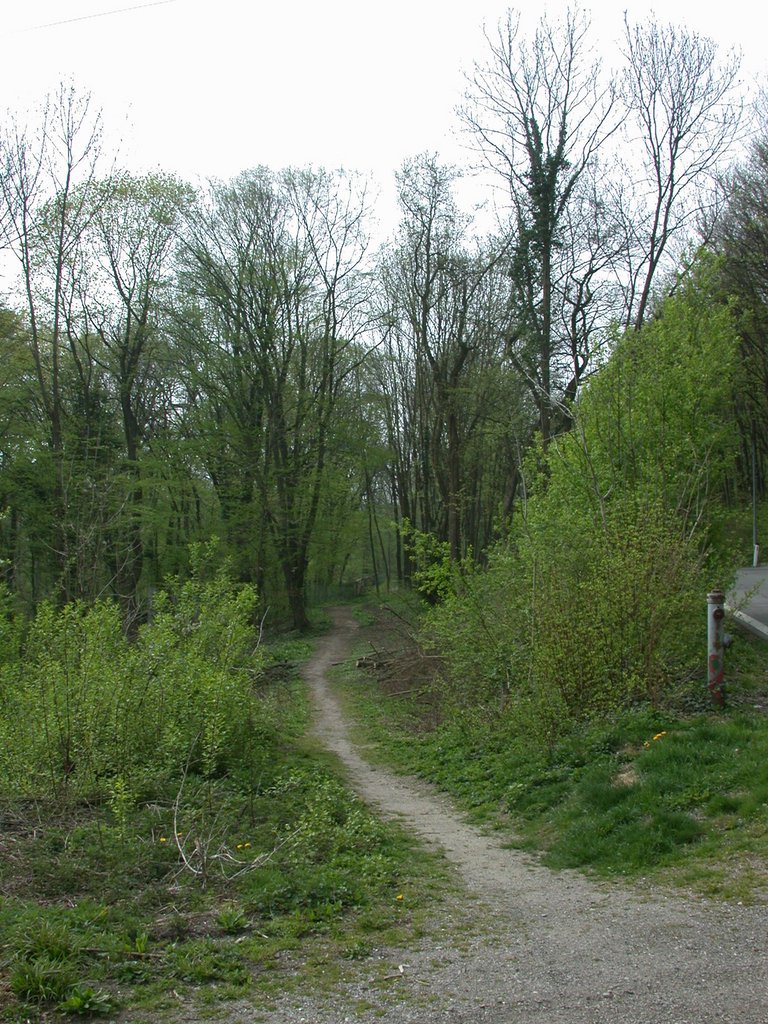 DSCN5037.JPG