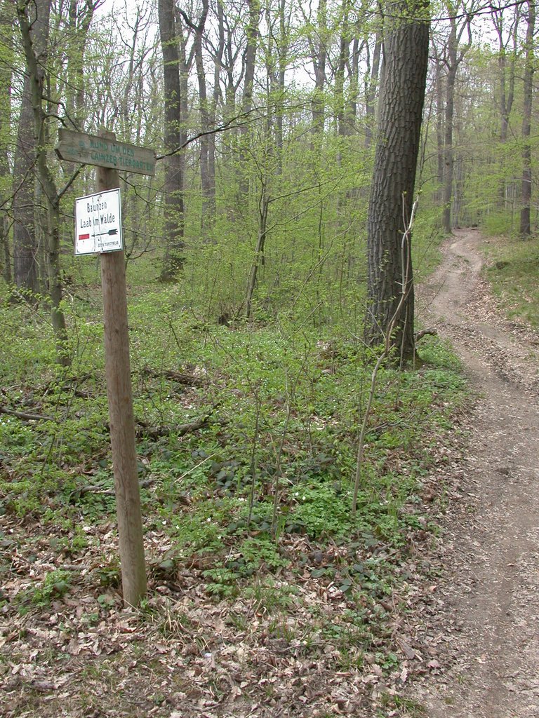 DSCN5038.JPG