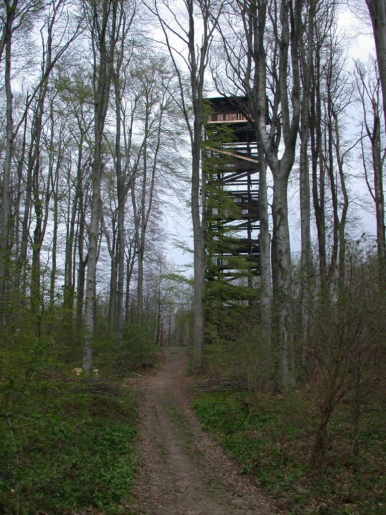 DSCN5039.JPG