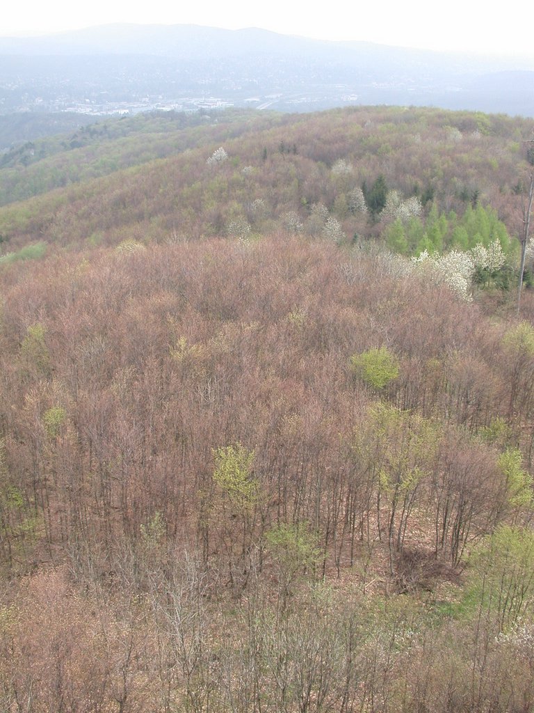 DSCN5046.JPG