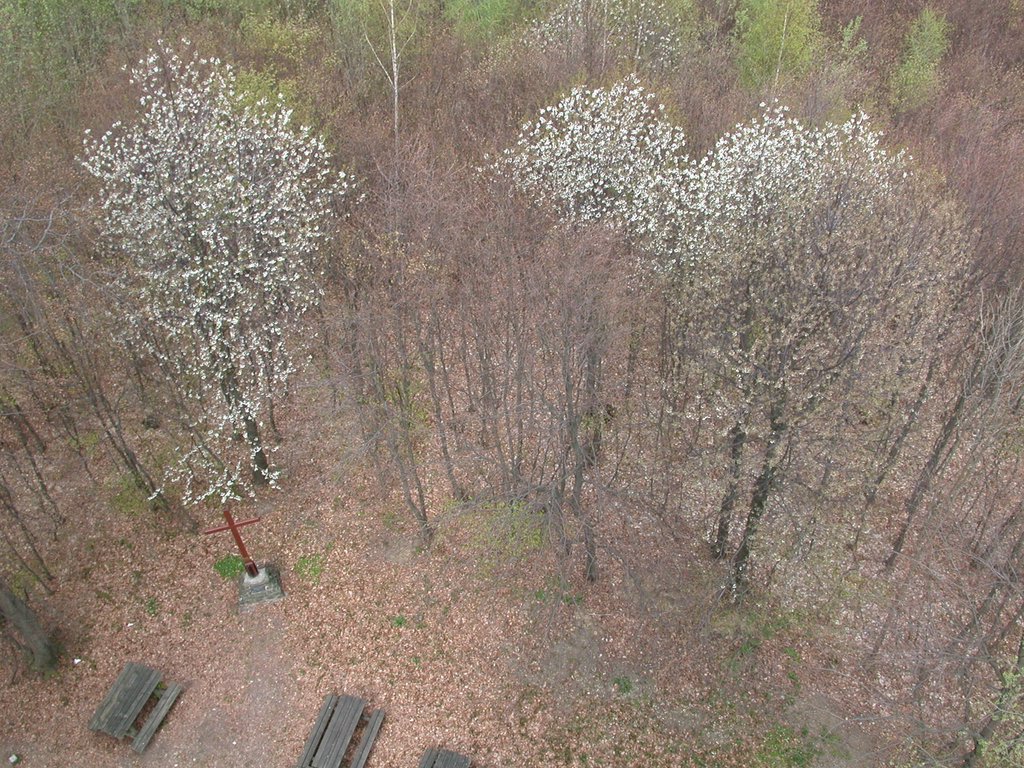 DSCN5049.JPG
