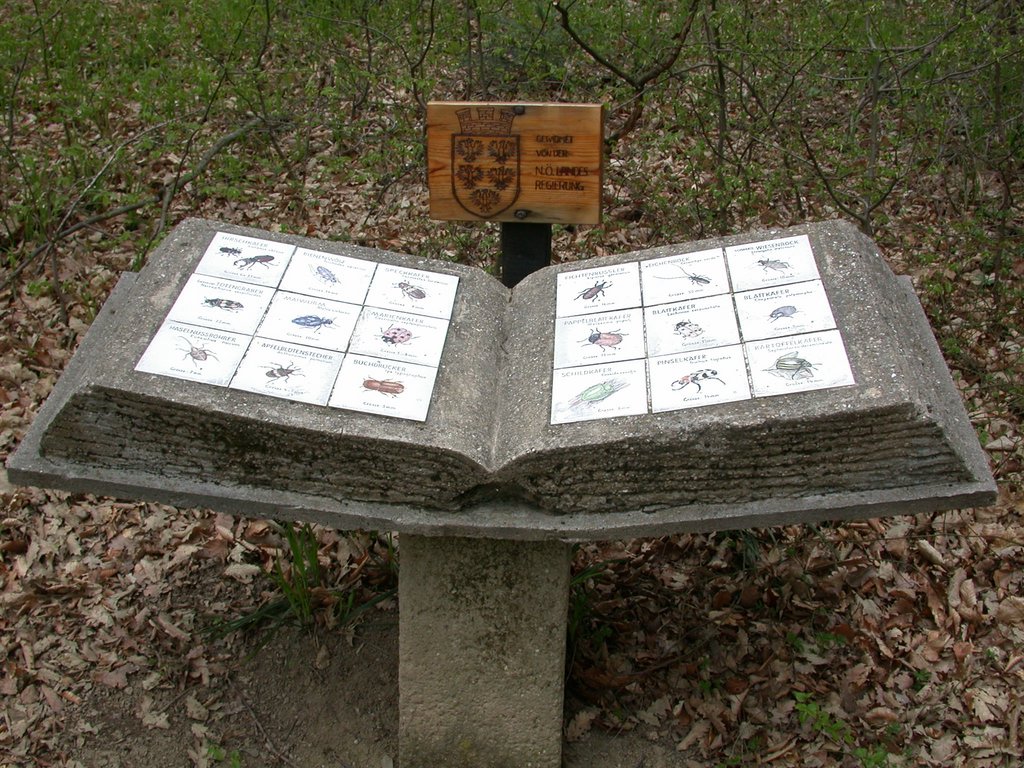 DSCN5053.JPG