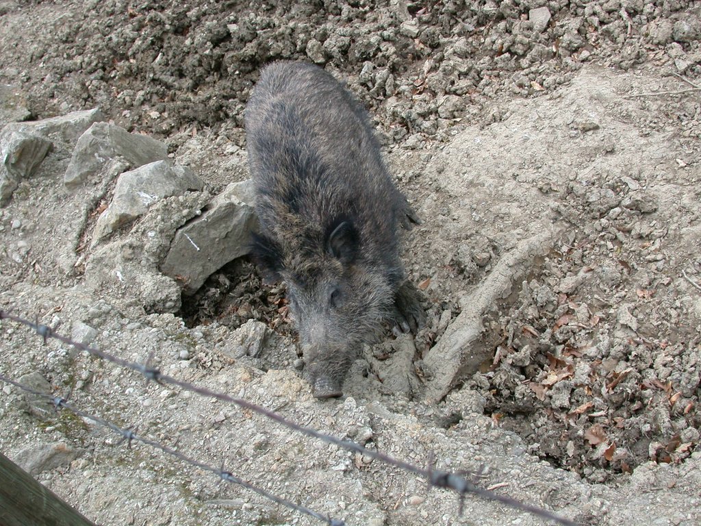 DSCN5055.JPG
