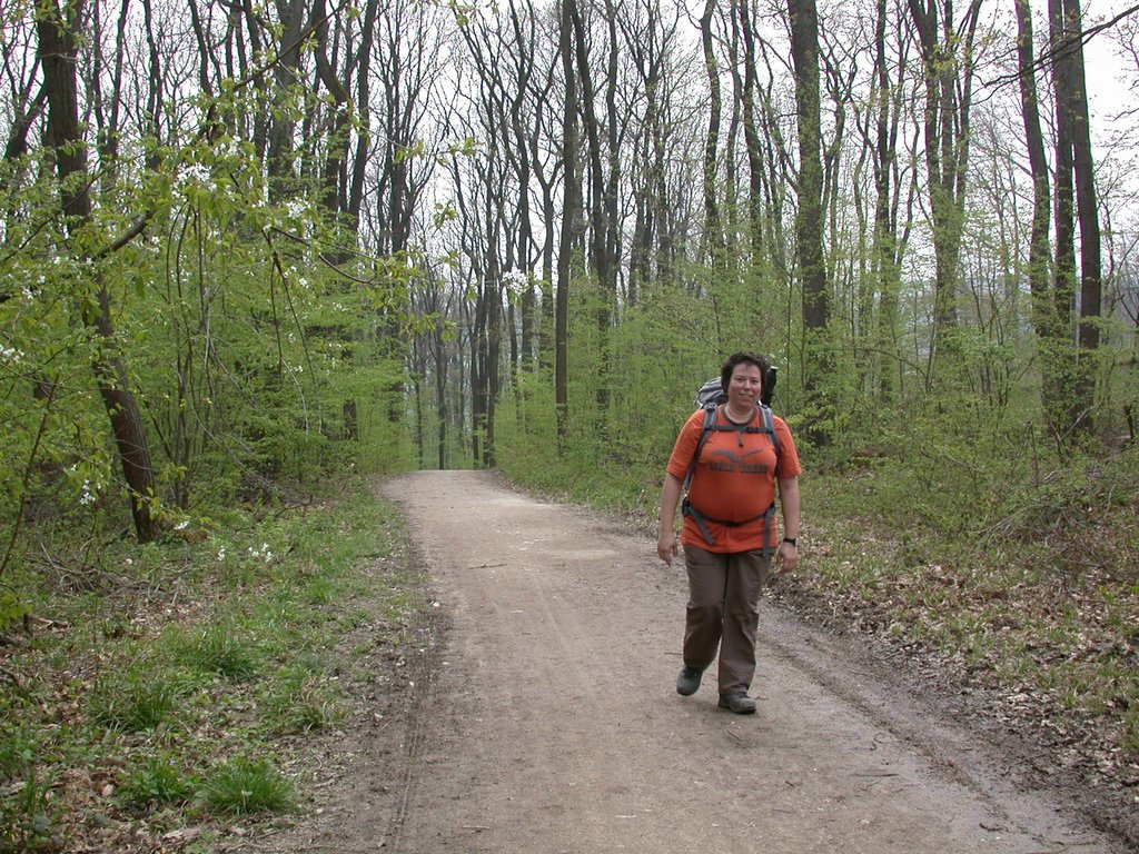 DSCN5065.JPG