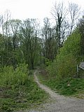 DSCN5037.JPG