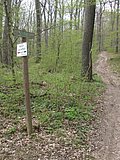 DSCN5038.JPG
