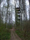 DSCN5039.JPG