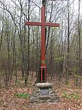 DSCN5041.JPG