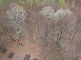 DSCN5049.JPG
