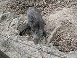 DSCN5055.JPG