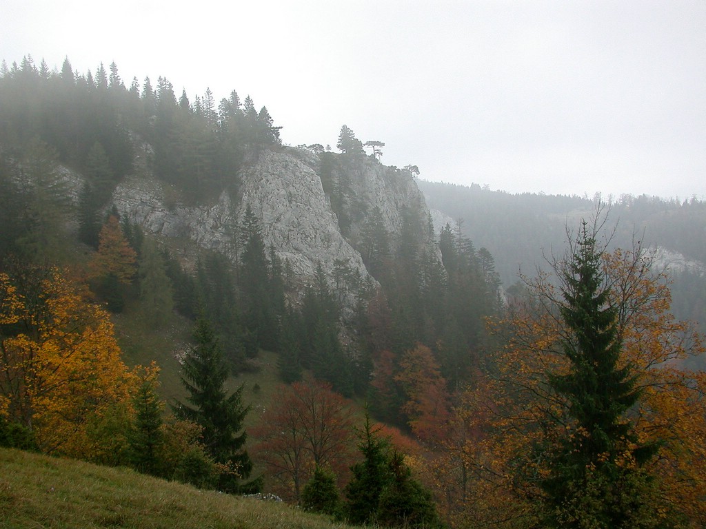DSCN3755.JPG