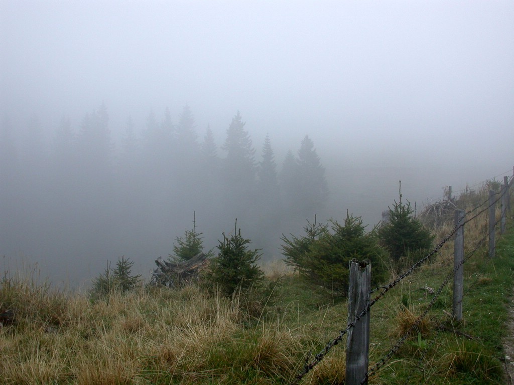 DSCN3762.JPG