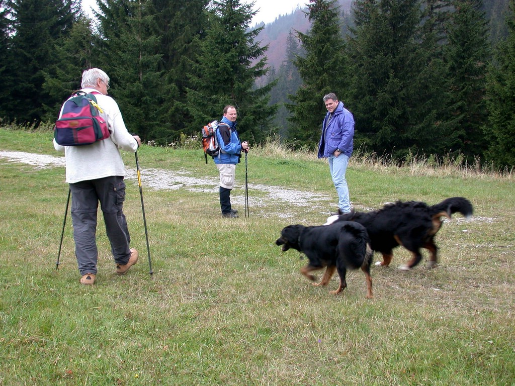DSCN3775.JPG
