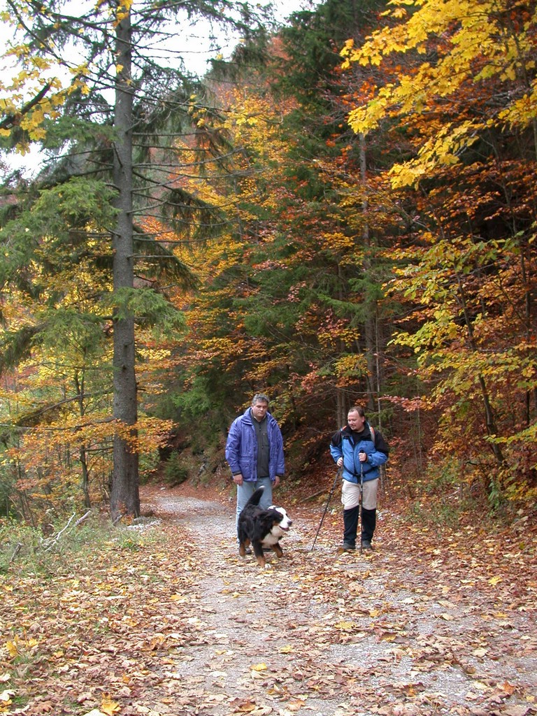 DSCN3791.JPG