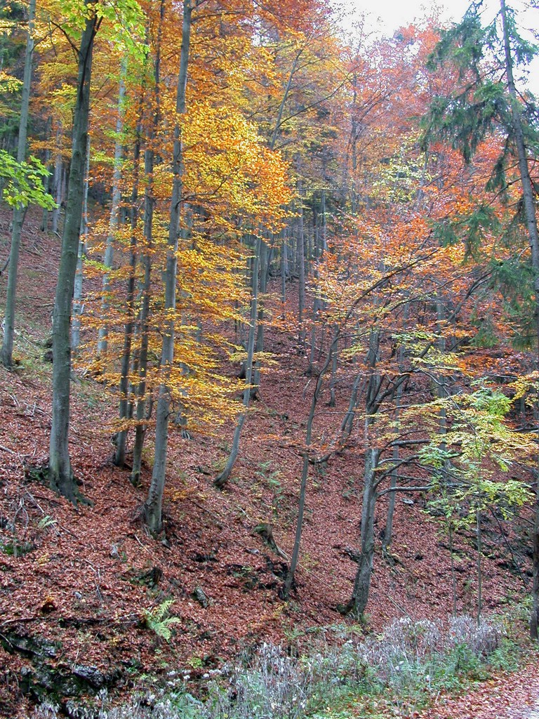 DSCN3798.JPG