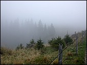 DSCN3762.JPG