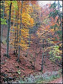 DSCN3798.JPG