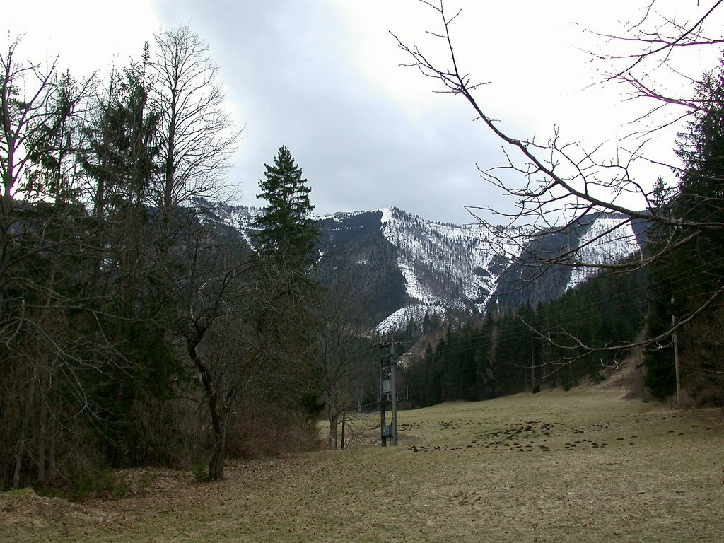DSCN4550.JPG