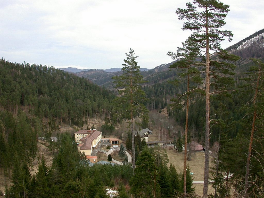 DSCN4552.JPG