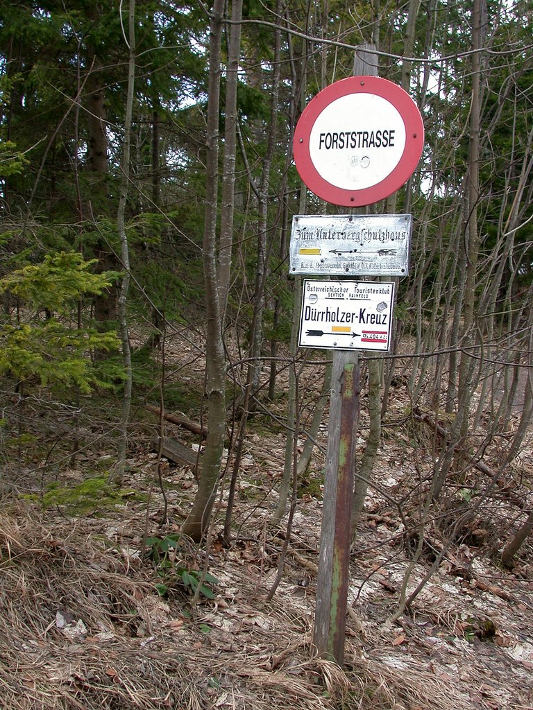 DSCN4558.JPG