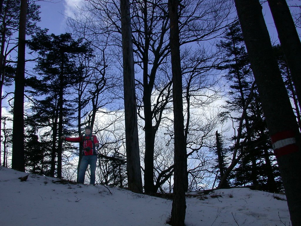 DSCN4567.JPG