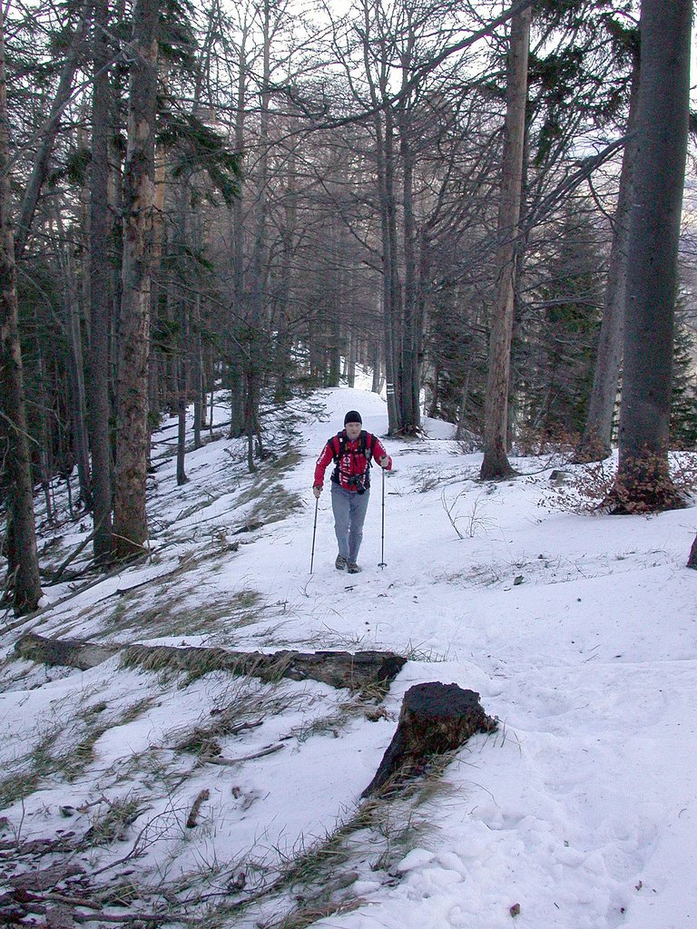 DSCN4568.JPG