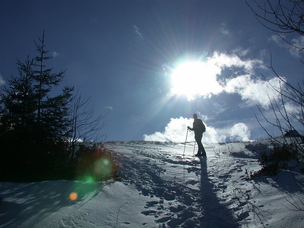 DSCN4576.JPG