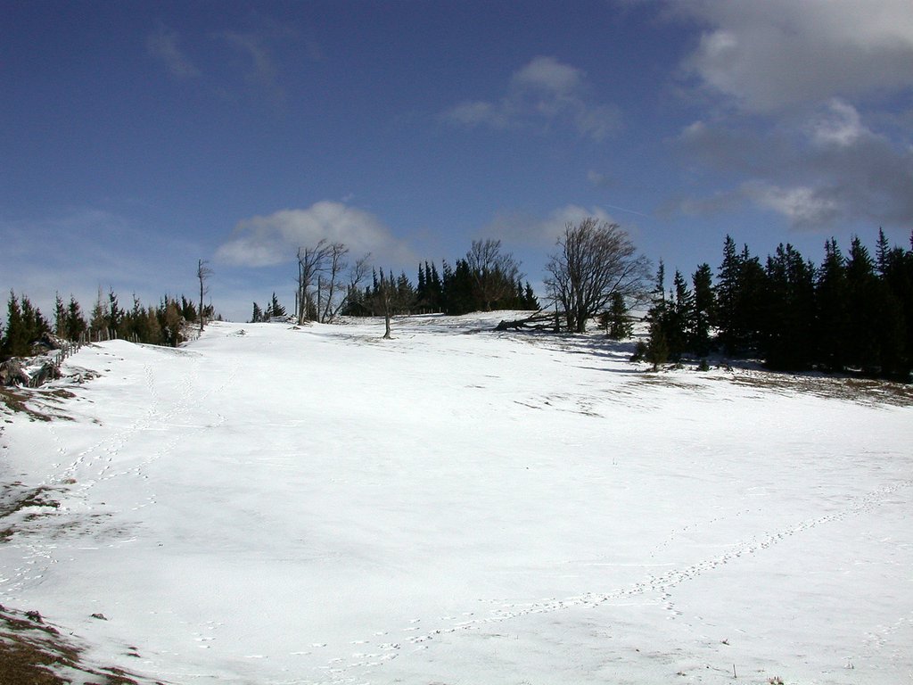 DSCN4579.JPG