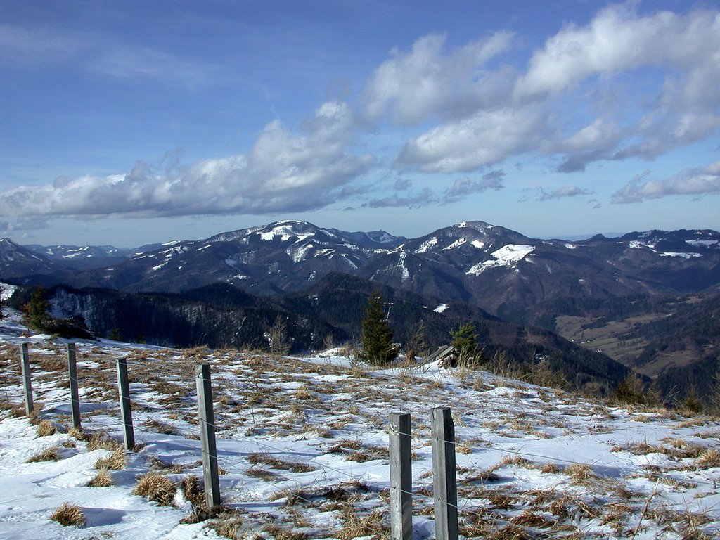 DSCN4583.JPG