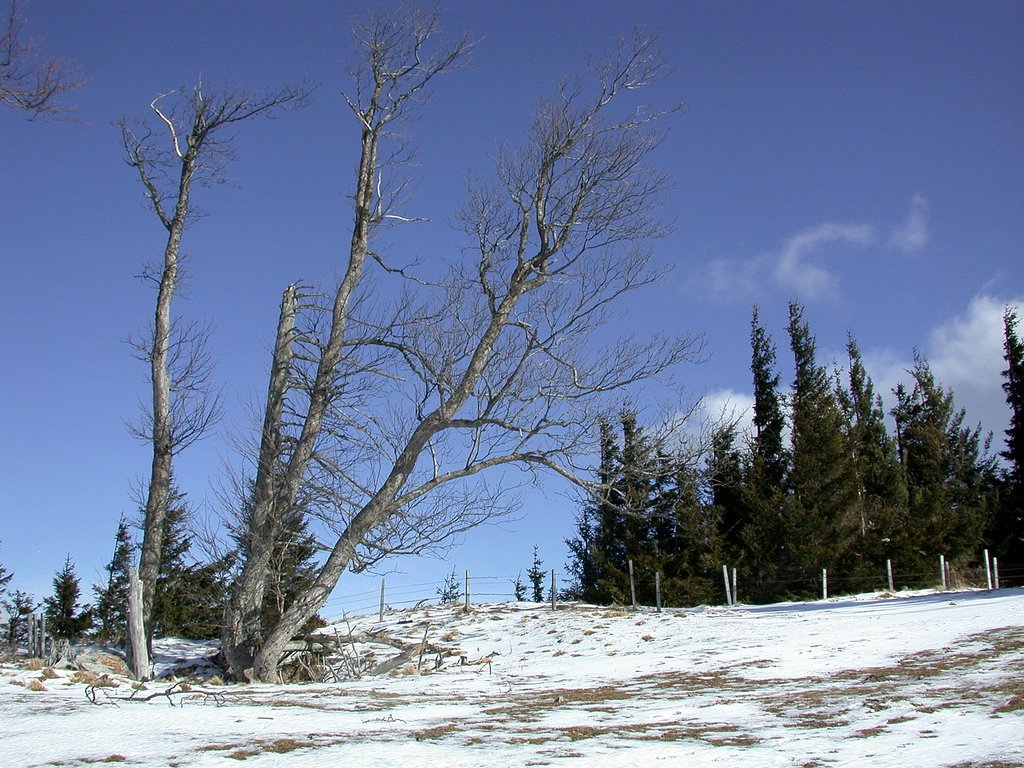 DSCN4586.JPG