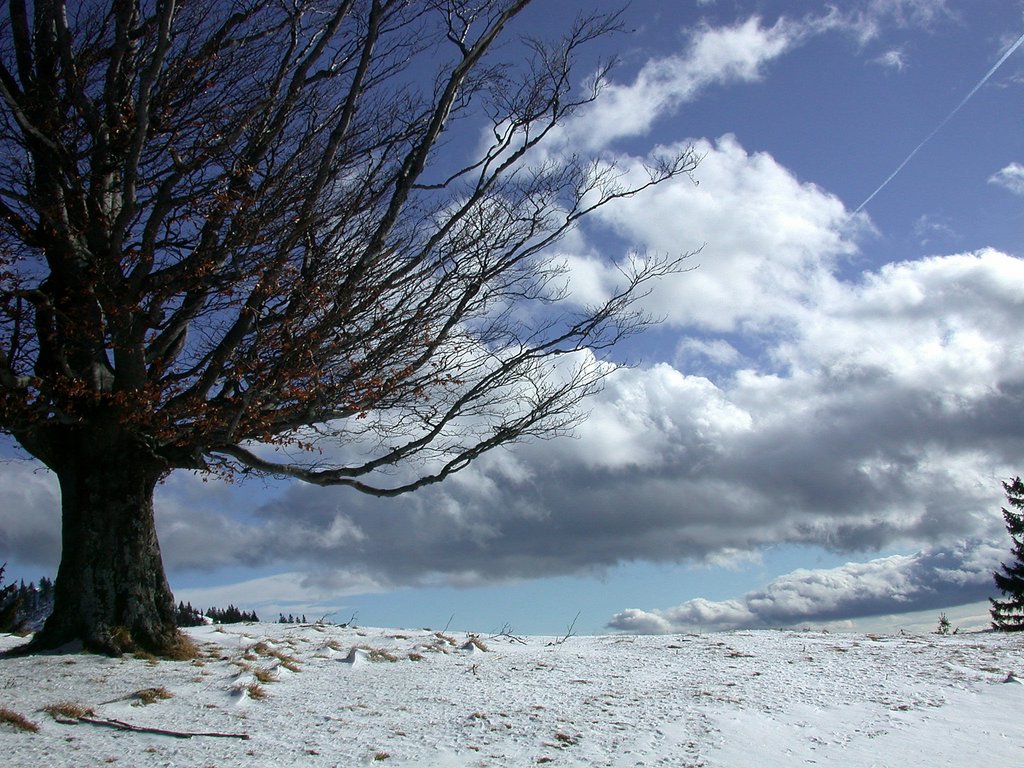 DSCN4594.JPG